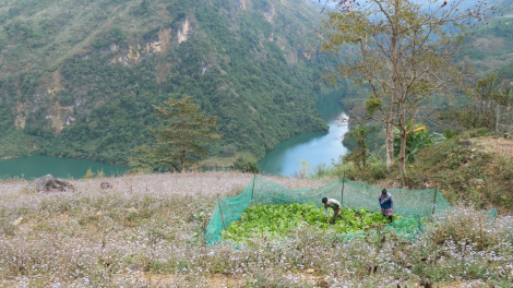 Tsaz yênhx nta suôz luk Hmôngz hnuz 6-03-2026