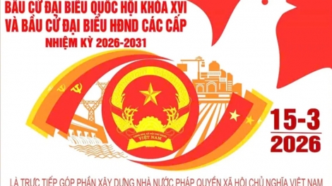 Lầy tzình thzáng ca páo dung chủ nhật hoi 15/3/2026