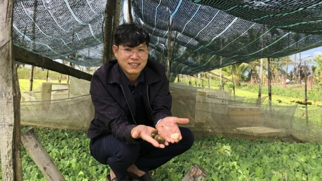 យុវជនវិលមកស្រុកកំណើតផ្តើមអាជីព ធ្វើមានពីកសិកម្មស្អាត