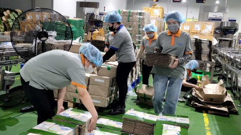 ស្ថាប័នជំនួញខេត្តដុងថាបខិតខំរក្សាសន្ទុះផលិតកម្មក្នុងពេលតម្លៃកើនឡើងខ្លាំងក្លា