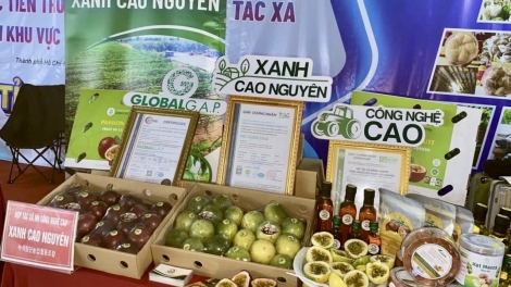 Doanh nghiệp lŏ mir Dak Lak hao ngăch tăch n’gluh dak bah dih 