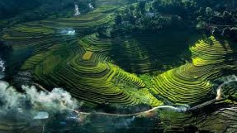 Danak dak sap Cam 21_03_2026