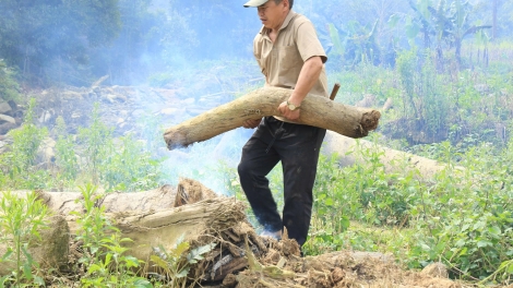 Ngon tô thứ 2 mự 30.3.2026 – Tiện tô cắp pả Lương Thị Quý, dú bản Bó, phương Chiêng An, tỉnh Sơn La ma tang chự phong phay mảy pá cuồng mua lạnh lau