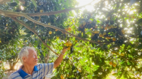 MUY CHA NĂC T’COOH COH CẦN THƠ BƠƠN PA CHÔ BÂC BH’NƠƠN TƠỢ NANG THANH TRÀ