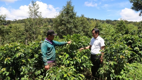 Tơring groi kông Quảng Ngãi jang ‘lơ̆ng tơdrong đei “tơring tơngiĕt” vă atŏk tơ iung choh jang sa, tơmang pơhiơ̆
