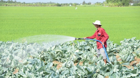 ពត៌មាន​ម៉ោង៦