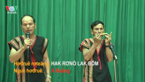 Hok mơak bơyan hơbơi plum 