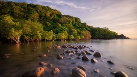 Danak dak sap Cam 25_03_2026