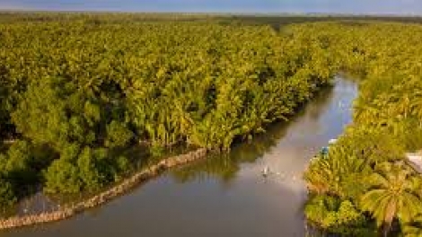 Danak dak sap Cam 31_03_2026