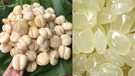 អាហារឈ្ងុយឆ្ងាញ់ជាច្រើនមុខបានកែច្នៃពីផ្លែត្នោត