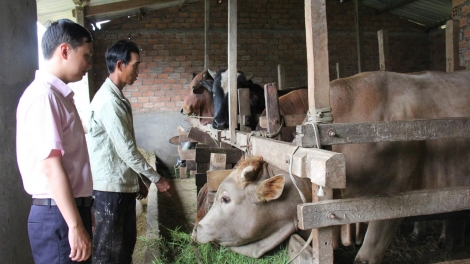 Tơnguh khà ai càn priă dong kờl gơwèt mờ hìu bơnhă rƀah gơguh 200 tơlak đong  