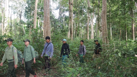 Rak kong, rak ăm hên kuăn kiâ, nhâ loăng sinh học Chư Mom Ray