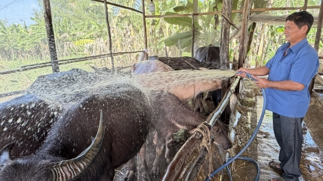 ĐOỌNG T’RỊ K’ROỌC HA PR’LOỌNG ĐHA RỰT BĂN T’PẬ L’MẶ