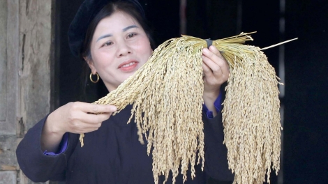 CHƯƠNG TRÌNH KHAY HENG TÀY-NÙNG (Thứ 7- Vằn 28/3/2026)