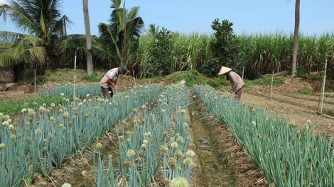ជីវភាពរស់នៅរបស់បងប្អូនខ្មែររីកចម្រើនឡើងពីមួយថ្ងៃទៅមួយថ្ងៃ។