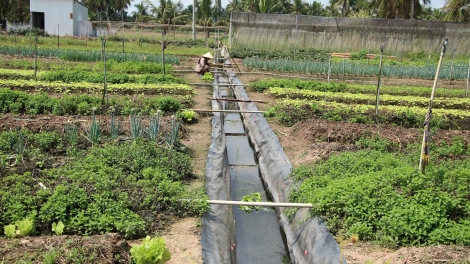 យុវជនថាច់គឹមថេខិតខំពុះពារក្តីលំបាក អស់ពីចិត្តពីថ្លើមជាមួយការងារសម្ព័ន្ធយុវជន  