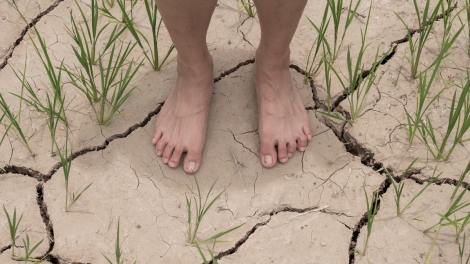 ពត៌មាន​ម៉ោង៦