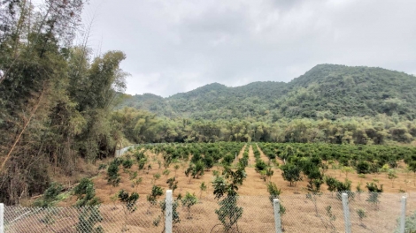 PUÔN KHAI CÚA CÁI CHANG TẰNG NẶM MƯỜNG - CÓ TÀNG HẾT KIN HÂNG RỲ