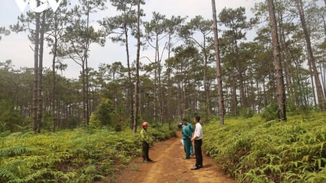 XĂL PR’ĐƯƠI K’NẶ 83HA CRÂNG BHRỢ CHA ĐOỌNG BHRỢ ZR’LỤ ĐÔ THỊ MĂNG ĐEN