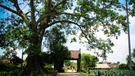 Hát chèo: NÓN THÚNG QUAI THAO