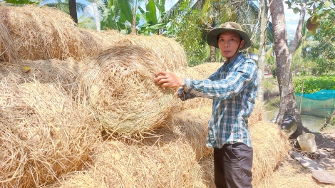 កសិករនៅកាម៉ាវចោលទម្លាប់ដុតចម្បើង ជញ្ជ្រាំង ដើម្បីធ្វើស្រូវមានគុណភាពខ្ពស់។