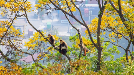 T'RUIH PA XƯL P'RA CƠ TU THỨ 3 T'NGAY 28/4/2026