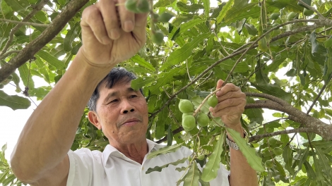  Chường trình phát thành quam Tay thứ 2 mự 20.4.2026