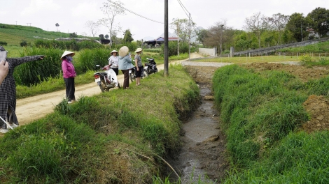 Chương trình phát thành quam Tay thứ 6 mự 10 căm bườn 4 pì 2026	