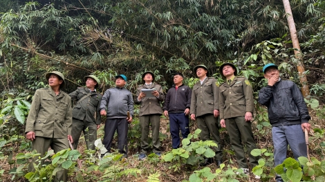 Ngon tô thứ 5 mự 9 căm bườn 4 pì 2026 – “Phảu phay” – pảy chự pá cuồng mua lạnh lanh nẳng tỉnh Sờn Là