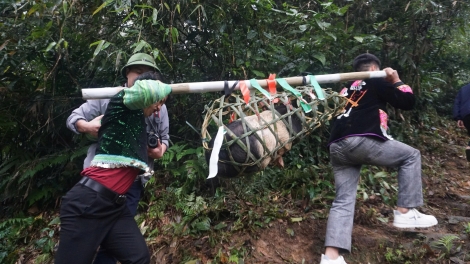 Chường trình phát thành quam Tay thứ 7 mự 04.4.2026