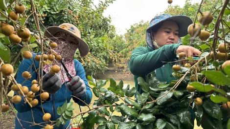 ពត៌មាន ម៉ោង ១៥