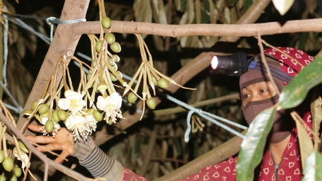 Kon pơlei jang chŭn mir Đắk Lắk kơchăng tơjră hơmơt ưh kơmăh đak choh jang sa