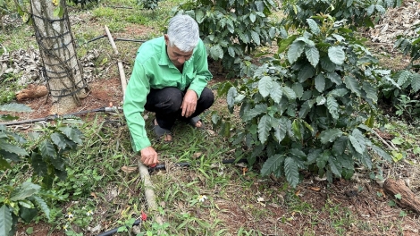 Kuăn pơlê Dak Lak hbrâ rơnáu têa tôh vâ hbrâ ăm rơnó khăng khoăng ăm klâng chiâk