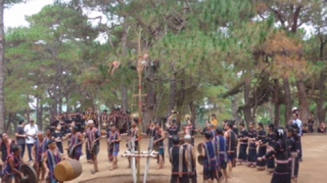 Gọi em trong đêm lễ hội