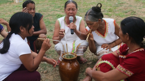 Chim cheh pu (Chim làm tổ) 