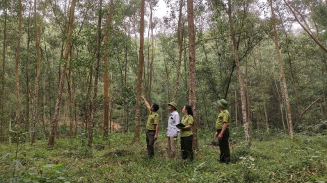 CHỰC ĐÔNG MẠY CHANG SLÌ FẠ LẸNG DÚ SLẢNH THÁI NGUYÊN