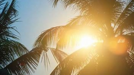 តើគួរញ៉ាំអ្វីដើម្បីឲ្យរាងកាយបានត្រជាក់ពេលអាកាសធាតុក្តៅខ្លាំង?