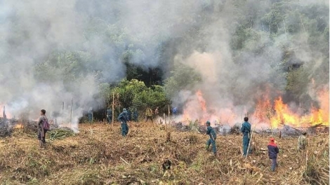 Xor xưv faz Bắc hnuz 7-4-2026