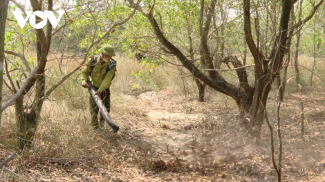 QUẢNG TRỊ: BHRỢ CHỐT ĐHỊ APÊÊ C’LÂNG, CHA GROONG ĐHA NUÔR ĐƠƠNG RÂU CHOOM ROOH OOY CRÂNG