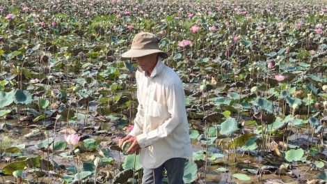 CHOH SEN PA ZƯM BHRỢ DU LỊCH PA CHÔ BH’NƠƠN DAL ĐOỌNG HA ĐHANUÔR
