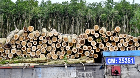 កសាងជនបទ កាម៉ាវ “បៃតង - ស្អាត - ប្រសិទ្ធភាព - ចីរភាព”