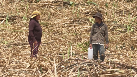 Mơ̆ng ana kbâo krô ti Dak Lak truh kơ ai bi ktưn mơ̆ng bruă mkra sĭk