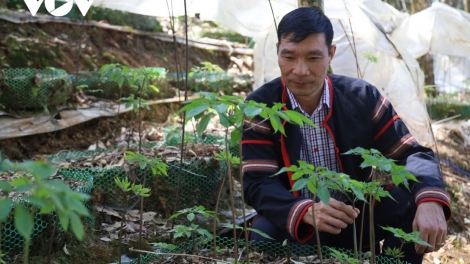 ĐƯƠI RAU CHR’NĂP ÂNG CRUUNG K’TIẾC, QUẢNG NGÃI T’BHLÂNG BHRỢ T’VAIH ZƠ NƯƠU