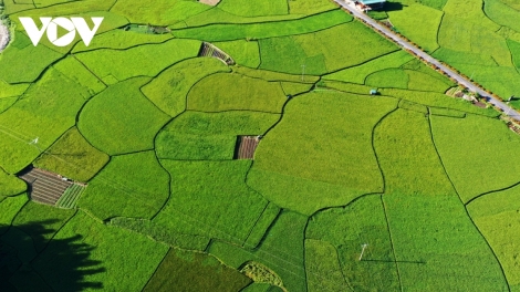 CHƯƠNG TRÌNH PHÁT THANH TIẾNG TÀY- NÙNG  (Thứ Bảy – vằn xo 4/4/2026)