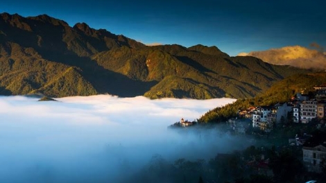 Phai paz nhây phiến