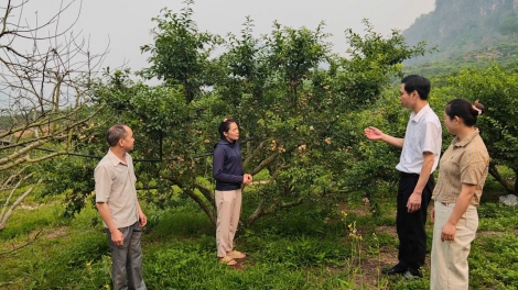 Tsaz yênhx nta suôz luk Hmôngz hnuz 23-4-2026