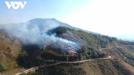 Tsaz yênhx nta suôz luk Hmôngz hnuz 13-4-2026