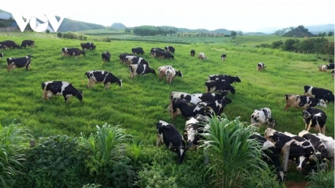 Ngon tô thứ 3 mự 28 căm bườn 4 pì 2026: Luông pùn chự phong phạ đét họn hẳư pưng ngua quai, pết cáy