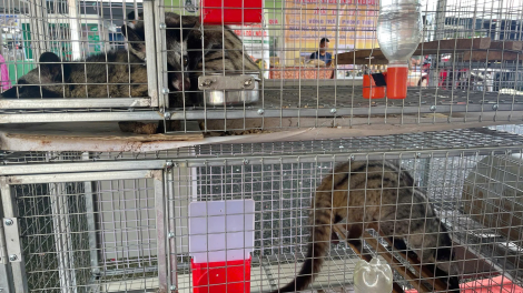 URANG NGAK NONG LAM DONG RAONG MAJA NGAK KAYA 