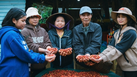 Hơtŏk hloh tong hơnê̆ kaphê akŏm pơlong Kaphê 'lơ̆ng kăp gĭt Việt Nam 'măng mă 8
